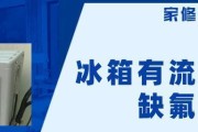 冰柜流水声的故障分析与解决方法（如何解决冰柜流水声问题）