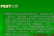 以PEST宏观环境分析为基础的企业战略规划案例分析（以PEST宏观环境分析为导向）