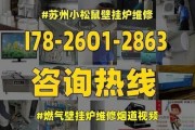 壁挂炉烟道故障及其修复方法（壁挂炉烟道故障的危害及解决方案）