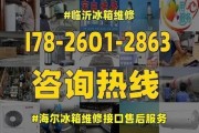 海尔冰箱白屏故障解决方法大揭秘（轻松解决海尔冰箱白屏）