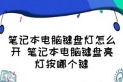 笔记本电脑键盘灯不亮的故障排查及解决方法（解决笔记本键盘灯不亮的常见问题和技巧）