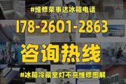 冰箱灯光开关修理指南（教你轻松解决冰箱灯光开关故障问题）