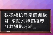 显示器不清晰的故障及解决方法（如何修复显示器模糊问题）