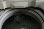 洗衣机不能清洗的原因及解决方法（为什么洗衣机不能彻底清洁衣物）