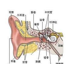 热水器出现回音的原因及解决方法（探讨热水器回音的成因以及如何有效解决问题）