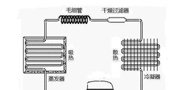 冰箱制冷剂清洗方法及注意事项（保持冰箱清洁）